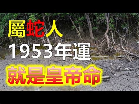 66年次屬蛇|屬蛇今年幾歲｜屬蛇民國年次、蛇年西元年